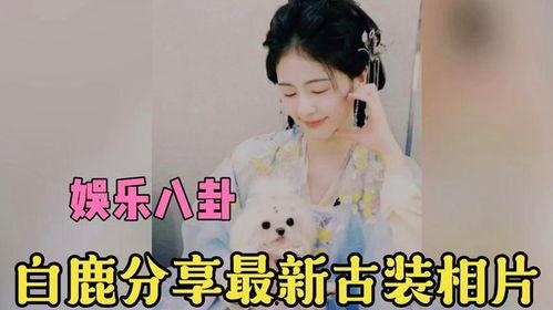 娱乐圈八卦爆料最新白鹿是真的吗,白鹿恋情真相,是真是假?